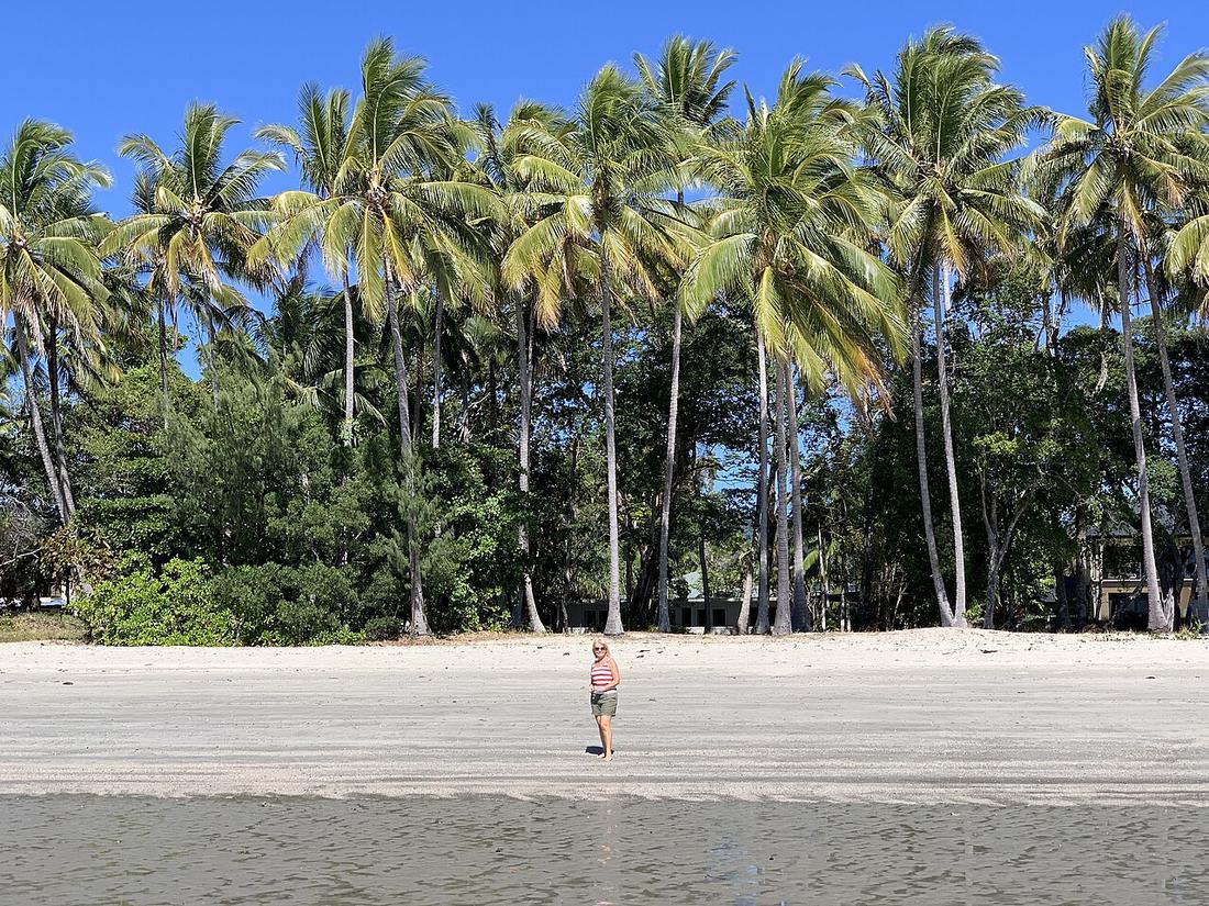 Douglas Shire Council (Port Douglas), QLD