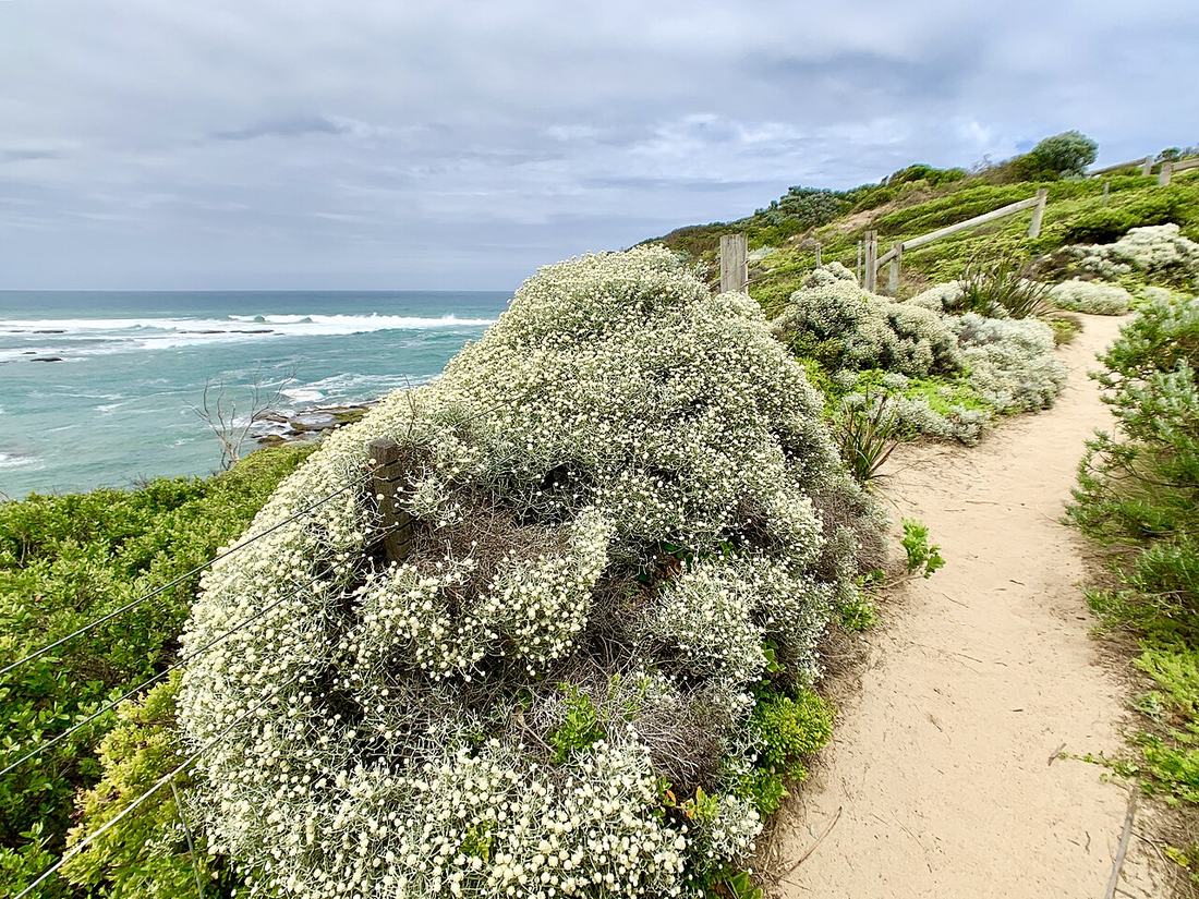 Mornington Peninsula Shire, VIC
